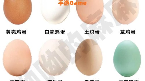 新鲜的鸡蛋最好不要和哪种食物