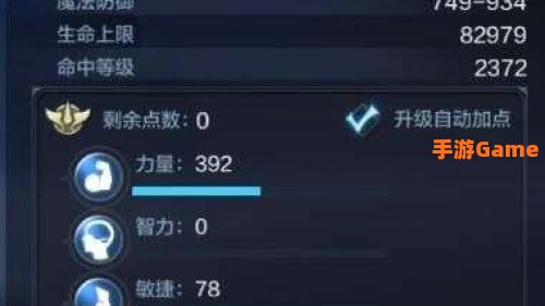 木瓜奇迹法师加点