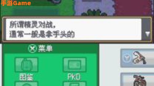口袋妖怪心金二周目