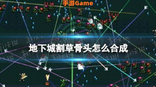 地下城割草骨头
