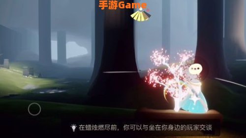 光遇雨林赏花