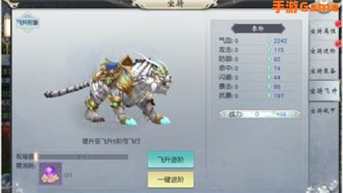飞升坐骑