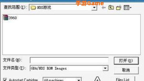 nds中文模拟器下载